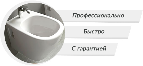 bide.jpg